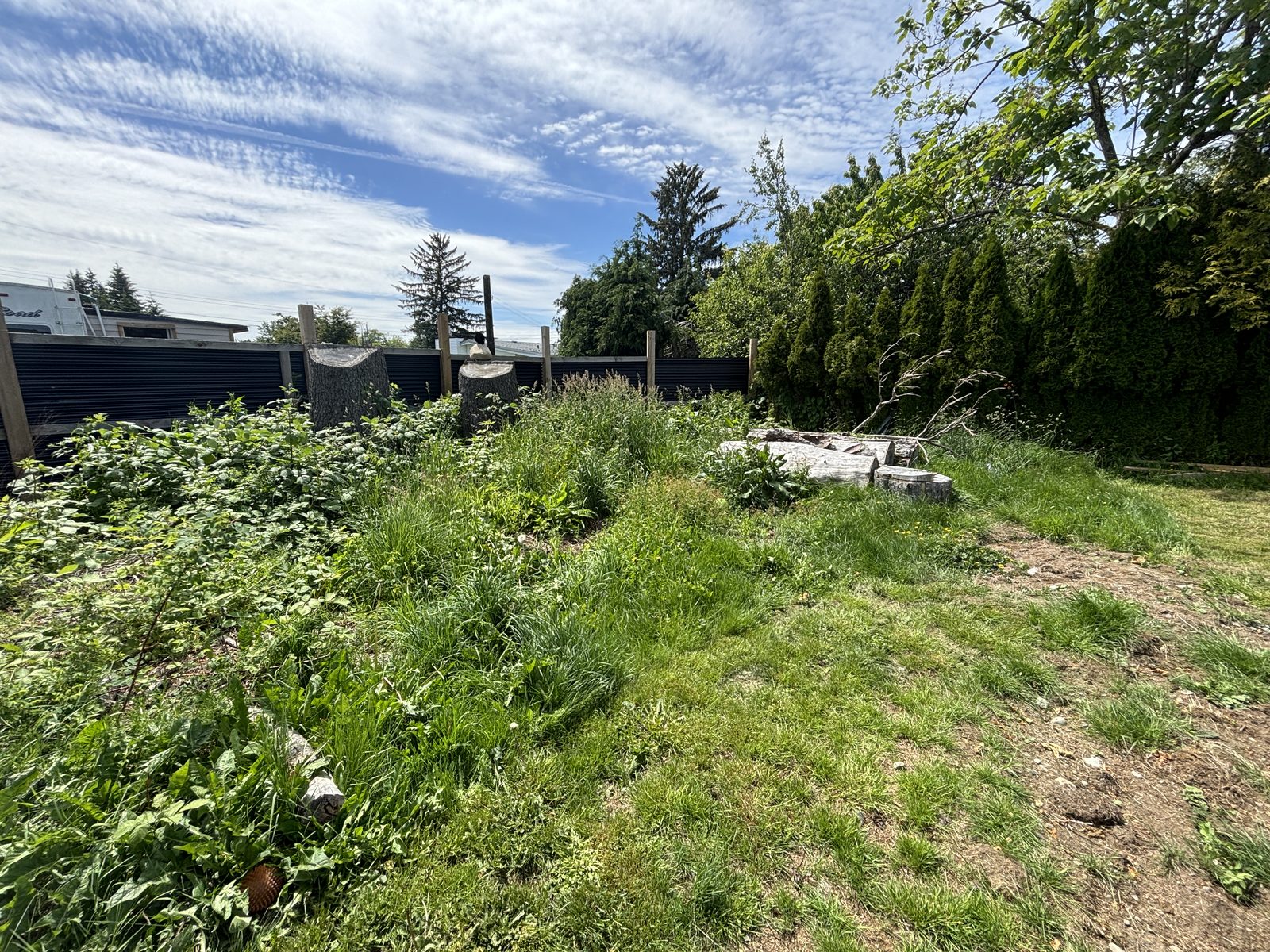 Land Clearing